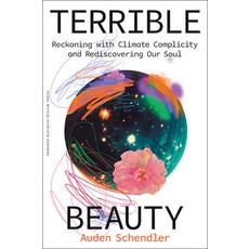 (영문도서) Terrible Beauty: Reckoning with Climate Complicity and Rediscovering Our Soul Hardcover, Harvard Business Review Press, English, 9781647829759