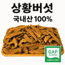 천생산 상황버섯 2년산 최상품. 직접재배. 우수 농산물 GAP 인증, 1박스, 50g
