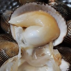 [급속냉동] 노랑새조개 여수 완전손질 새조개, 1개, 200g