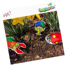 컬러룬 곤충 만들기 키트 12인용 곤충 채집 생물 과학 놀이 베란다장식