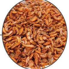 오늘출발샵 감마루스(건조새우) 30g 먹이 수조용품