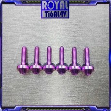 ROYAL 鈦合金 正64鈦螺絲 M4*12 P0.7 CNC鍛造內梅花螺絲, 帝王黑, 1個