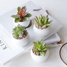 선인장 미니 화분 조화 4p set