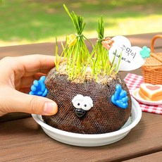 어린이집 봄 만들기 잔디인형 식목일활동 초등 유아 유치원 노인 미술활동 키트 diy, 토피어리 식물인형 만들기