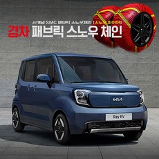 레이 직물체인 스노우체인 2P 1세트 겨울용품 레이전용, 1개