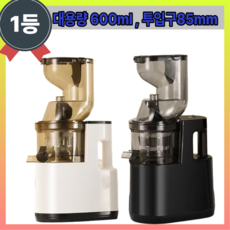 이지키친 대용량 가정용 착즙기 저소음 원액기 과일 야채 녹즙기 대용량 압착기 생과일, 레드