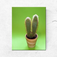 PL050_풀잎 선인장 다육이 식물 인테리어 캔버스액자, 무광일반_S_16cm x 22cm, 1개