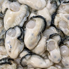 생굴 깐굴 통영굴 여수굴 깐석화 최상급 산지직송, 1세트, 4kg