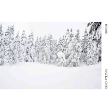 MACKA-CHIN muon PCD25350 P-VINE Japan Obi Sealed, 1