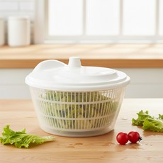 채소탈수기 플라스틱 미니 주방 야채 세척, 1개