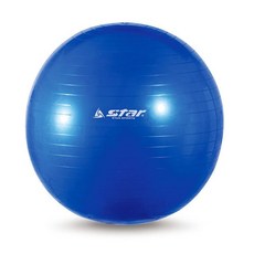 [CL]짐볼 55cm 블루 EB240-07 필라테스 헬스 요가볼 요가짐볼, 짐볼 55cm EB240-07