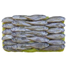 힘찬푸드 제주 참조기 25년 어획분, 1박스, 3.7kg 48미