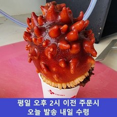 국산 횟감 활멍게 꽃멍게 안깐멍게, 1개, 1kg 3-5미 x 3