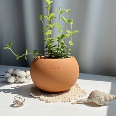 앙비까사 진주 미니토분, 레드(토분만), 1개