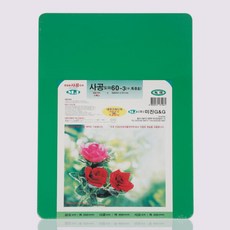 미진 업소용 위생도마 특8호 600x400x24mm 위생적인 식당용 조리도마, 초록, 1개
