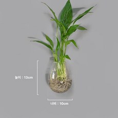 냉장고용 화분 자석 자성 미니 귀여운 꽃병 작은 인테리어 세트, 달걀 모양
