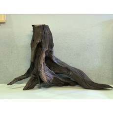 紫柚木沉木樹樁 天然一體成型 魚缸造景 草缸造景, 1個