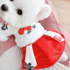 모모도퀸 겨울 기모안감 레드 애견 강아지 한복 원피스, 1개
