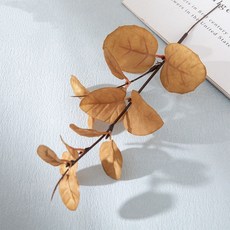 LIFE MASTER 仿真蘋果葉 尤加利葉 仿真綠植 插花拍照道具, 1個, 黃色