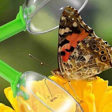 어린이 곤충 관찰 투명 채집 장비 14cm 어린이장난감, 연두