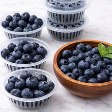 국산 무농약 블루베리 생과 생블루베리, 2개, 100g(20mm)