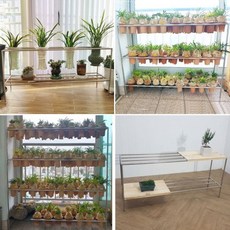난진열대 화분대 난다이 정리대 다육 식물 풍란 선반 거치대 간격조절, 2단, 600mm, 1개