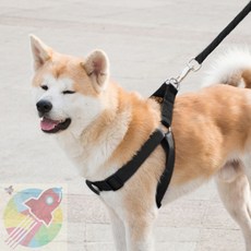 3RD 로프 대형견 목줄 하네스 리드줄 세트 XS 검정 강아지하네스리드줄