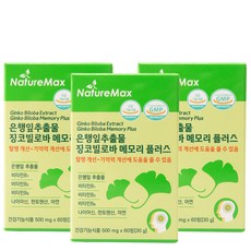 은행잎추출물 징코페놀 징코빌로바 메모리 플러스 기억력개선 혈액순환 혈행개선 (플라보놀 배당체 최대치 36mg 맥스) 빌리프 2개월분 징코플러스, 60정, 3개