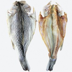 반건조농어 흰살생선 반건조 말린농어 50~55cm 2마리, 1개