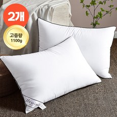 헤르티만 프리미엄 호텔용 마이크로화이버 베개솜 지퍼형, 화이트, 2개