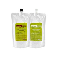 퍼펙트퓨전 로하스 볼륨 매직스트레이트 1제2제 500ml, 1개