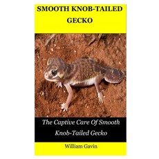 (영문도서) Smooth Knob-Tailed Gecko: The Captive Care Of Smooth Knob-Tailed Gecko Paperback, Independently Published, English, 9798451188170