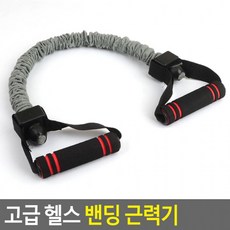 혜명잡화마트 헬스 근력기 스트레칭기구 스포츠용품 팔근력키우기 운동 헬스용고무밴드, 2줄, 1개