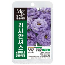 모칸도 좋은씨앗 리시안셔스 씨앗 레이나라벤더 10립 꽃씨 꽃씨앗, 1개