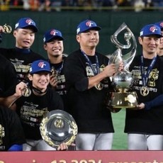 保證正版WBSC世界12強棒球Team Taiwan中華隊世界冠軍紀念T恤日本發行絕對正版, 1個, L