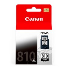 CANON PG-810 黑色墨水匣(含噴頭)，原廠品質保證，色彩鮮明持久，適用多款佳能噴墨印表機, 1個