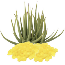 칸데릴라왁스 (파우치), 1개, 1kg