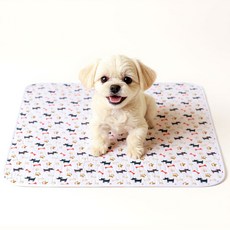 아임펫벳 세척가능배변매트 방수 펫 강아지배변패드, 1개, 화이트