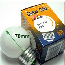 그린팜 온도조절기 부화기용 디지탈 온습도조절기 병아리부화, 볼전구 40W, 1개