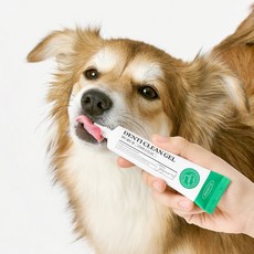 프로젝트21 덴티클린겔 강아지 고양이 치약 치태 치석 입냄새 제거 무향 40g 1개 449446