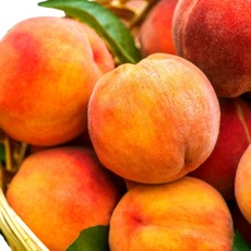 [고당도보장] 당일발송 프리미엄 물복 황도복숭아, 1박스, 2.5kg