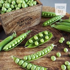 알알이통통 국내산 햇 껍질 완두콩 1kg, 상세설명 참조