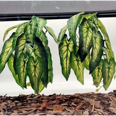 테라리움을 위한 파충류 식물 흡입 컵이 있는 인공 매달린 도마뱀 카멜레온 뱀 거북이 탱크 액세서리를 식물. 2팩(필로덴드론 셀룸), Alocasia Odora-a