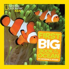 National Geographic Little Kids First Big Book of the Ocean Hardcover, National Geographic Kids, English, 9781426313691
