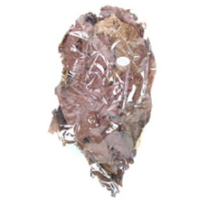 파이브오션 알몬드 잎 10p, 4개