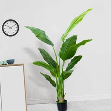 여인초 조화 고급조화 가짜꽃 조화소품 장식용꽃q_d4+2puj