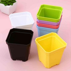 미니 화분 키우기