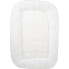 반려동물용 주택 반려견 운반 및 여행용 반려동물 침대 작은 개 품종 고양이를 위한 19인치 플라스틱 운반업체 XX, White, 19"