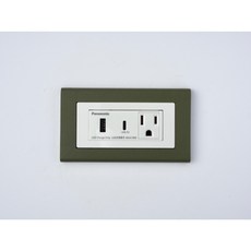 Panasonic 國際牌 Glatima 軍綠色 開關插座面板蓋板【快速出貨】, 1個, typeC+USB加插座（白