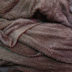 [집앞정육점]당일도축 한우 천엽 냉장 오늘도축 신선한 천엽, 3개